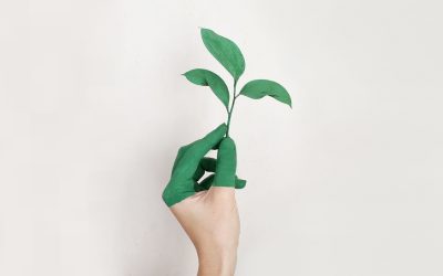 Eko trendovi u industriji nameštaja